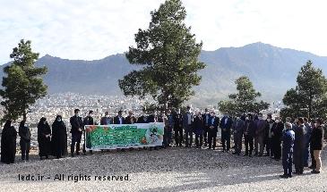 کاشت ۳۰۰ اصله نهال به مناسبت روز درختکاری