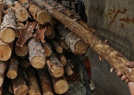 توقیف محموله چوب قاچاق در سلسله