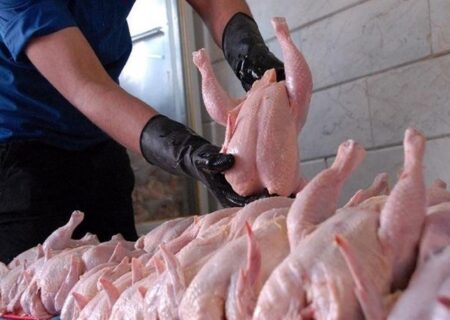 ارسال بیش از ۸۰۰ تن مرغ مازاد بر مصرف به استانهای هم جوار