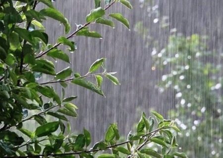 افزایش ۲۳ میلیمتر به میانگین بارندگی های لرستان