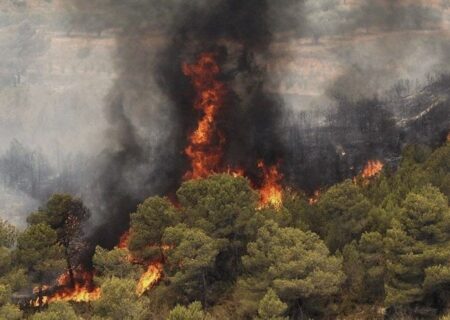 آتش سوزی جنگل‌های “واشیان” پلدختر مهار شد
