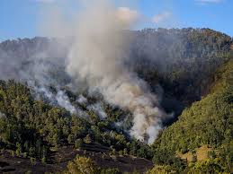 وقوع ۴۸ فقره آتش سوزی در جنگل‌ها و مراتع لرستان