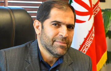 سلامت محیط زیست در گرو حفاظت از جنگل‌ است