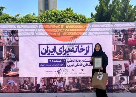 از سفیر فرهنگ و مهارت لرستان  تجلیل شد