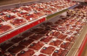 معدوم سازی ۵۲۶ کیلوگرم گوشت غیربهداشتی در لرستان