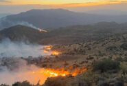 کاهش ۸۰ درصدی آتش‌سوزی در عرصه‌های منابع طبیعی لرستان