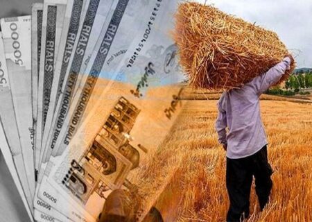 تسویه مطالبات گندم کاران لرستانی تا هفته آینده