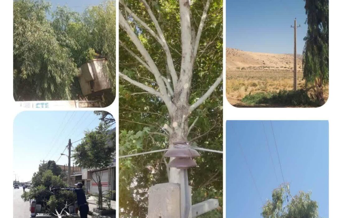 اجرای بیش از ۶۲ کیلومتر شاخه‌زنی شبکه برق لرستان