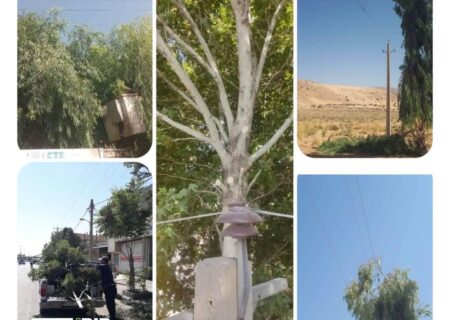 اجرای بیش از ۶۲ کیلومتر شاخه‌زنی شبکه برق لرستان