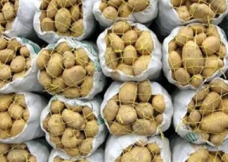 آغاز عرضه مستقیم سیب‌زمینی در لرستان