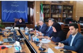 وصول ۸۰ درصدی درآمد‌های عمومی در لرستان
